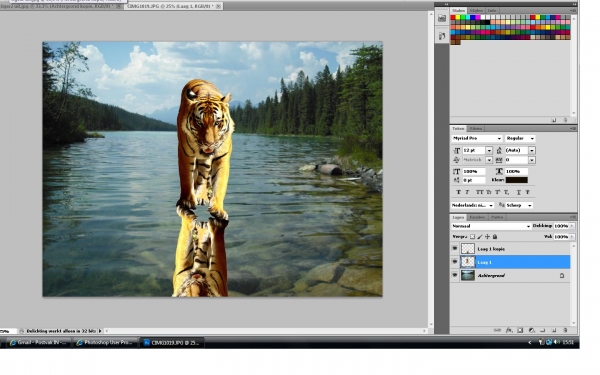 Creation of tiger taking a bath : Step 3